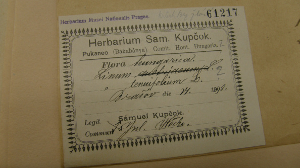 Štítok listu z herbára S. Kupčoka z roku 1898, pravdepodobne aj s jeho rukopisom, foto: L.Maľa